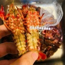 洗碗机把小龙虾洗熟了