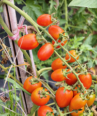 ũԺժѣĻƵĺڵģζͬ