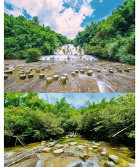 �߽��й����ۣ���ת�������ݣ�ȫ����ѡ�Ƶ꣬5�ո�Ʒ�ʴ�������