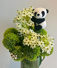 30����������ë�������