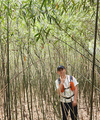 96172CMϲɽС飬Լгз