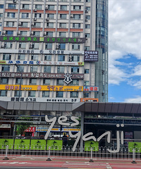 东北行,意料之外,冲冲冲