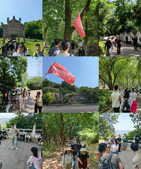 照样遇见你 徒步交友活动花絮出炉,初夏隐入森林3小时