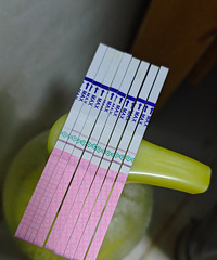 卵泡长得不好怎么办呢