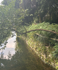 碧津公园,不止是荷花啊