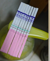 ���һֱ���У�������һֱ���ò��ã���ô����