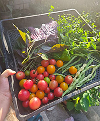 ����˵Ҫ����Ͻ�ժ����ȥ