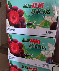 ���ɻ�������÷������24Сʱ���