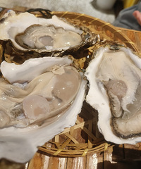 ���Բ�һ���Ļ����