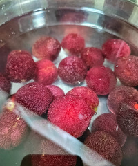 ��������С��ˮ:��÷��֦��