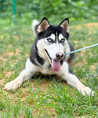 1��Ķ��������������