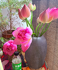 �Ѻɻ���ؼ�������������