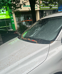 ����죬ͣ�����µĳ���������