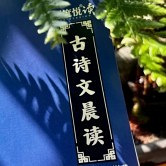 暑假就陪娃搞小古文