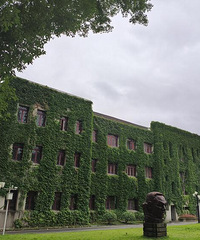 周末西南大学逛一圈