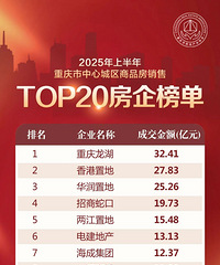 2025���ϰ����������ĳ�����Ʒ������TOP20����񵥳�¯