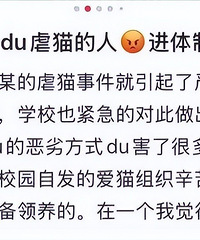 虐猫考生“社会性死亡”了