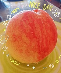 ���ˮ����û��֮һ