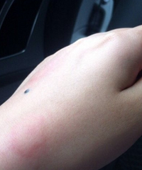 ������ֻ���ӣ���ôҲ׽����Ҳ�ϲ�����ô�����µ�