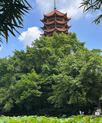 碧津公园不止是荷花啊