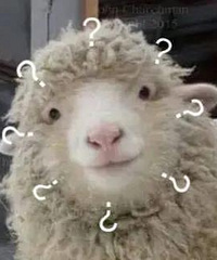 �������ҵ�Ů��˾���Ϲ�˵�����ٽ����绰���Ǿ����