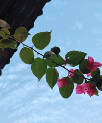 ���쵥������Ů������޶����ˣ��㻹������