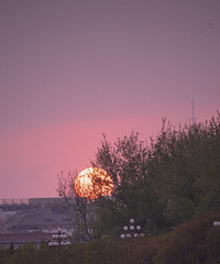 96��177CM�ľ�з��С�����飬��ְ��ĳ����������������