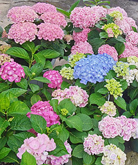 �ֵ�20�������������