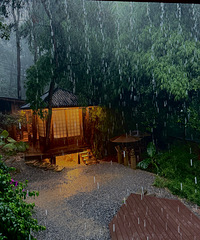 有人等烟雨,有人怪雨急,有人困在雨中,有人在雨中赏景