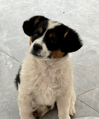 ������ţ�����óԣ�������ʵ���ĸ��˶�û����