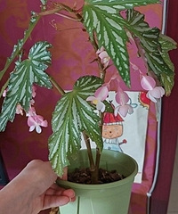 �ﺣ�Ŀ����˻������λ���