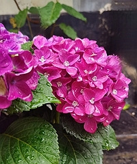 ���������ǲ��Ǳ��з�ζ