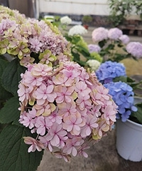 ����̨�������ܿ�����