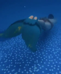 做条自由的鱼儿