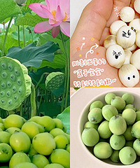 又到吃莲蓬的时候了,现摘先发清甜多汁