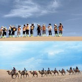 来宁夏了,沙漠好耍