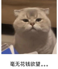 �������������Ժ��㷢����Щ������������Ҫ��