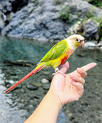 ճ�˵�С�������Ķ���һ��