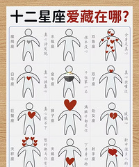 十二星座的心,藏在哪里?