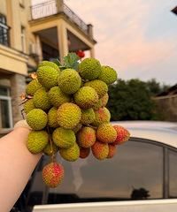 ��ʮ����ǲ��Ǿ�Ҳ����Ӯ����Ҳ�ɲ�ƽ�����Զ��е��������ϼ�