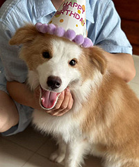 ����һ����������ʽ������