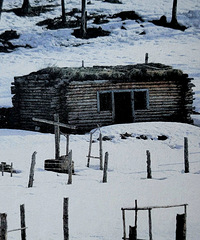 ������̩�Ľ��䡷������ļ��ѳ���������