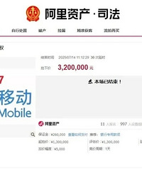 77777777手机号拍卖出320万