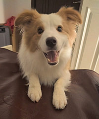 ����18��Խ��Խ�ÿ�