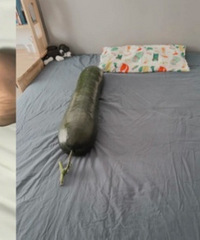 “抱着冬瓜睡觉”据说可以有效防暑降温,保质期长