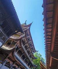 南山涂山寺夏晨:孔雀踱阶茶烟袅,黄墙瞰江暑意消