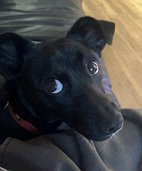 1��С�ڹ����������ر��