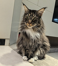 �ؽ�Ѱè��������С���ܶ�