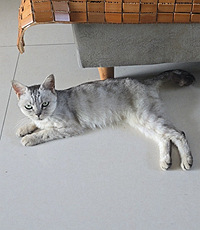 ��ס7¥������ֻè������