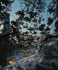 ��4�ˣ�����Խ��Խ�٣������ӣ��������� �����Ĺ¶�����������